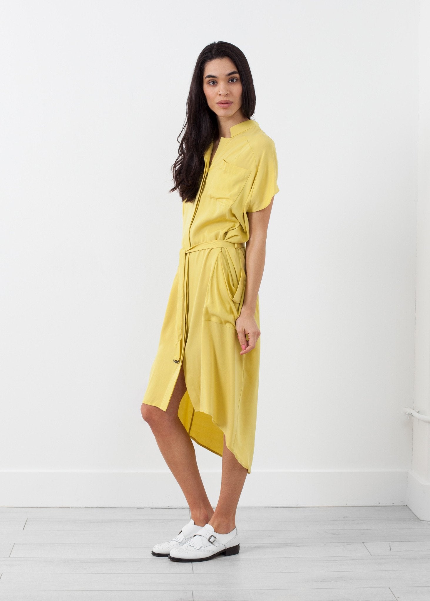 Ultime Silk Shirt Dress - annaclothes