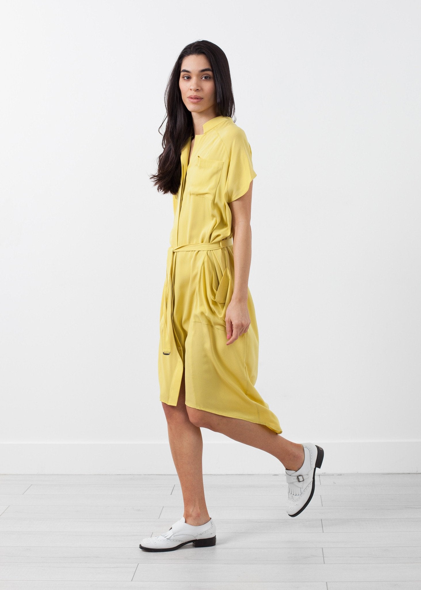 Ultime Silk Shirt Dress - annaclothes