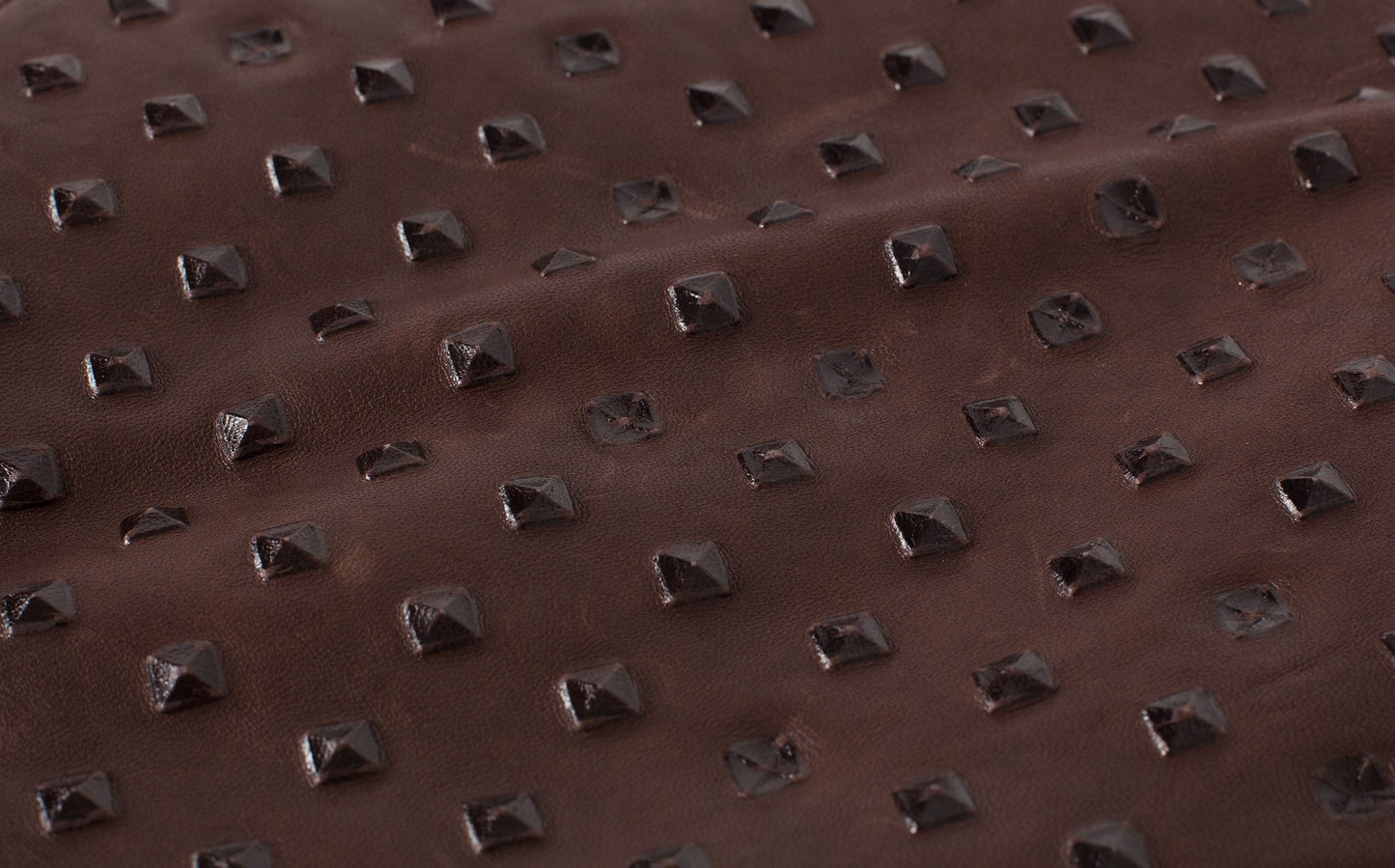 Roxanne Leather Clutch in Brown - annaclothes